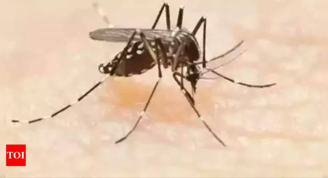 5 cases of West Nile fever confirmed in Kerala