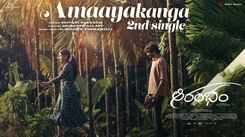 Aarambham | Song - Amaayakanga (Lyrical)