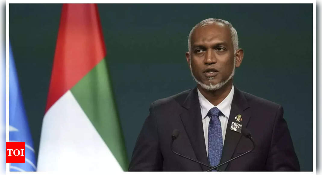 India withdraws 51 military personnel from Maldives: Presidential spokesperson | India News – Times of India