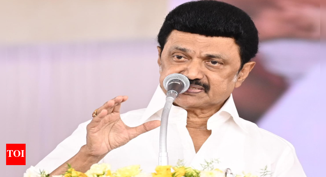 Tamil Nadu CM Stalin says he has become a ‘symbol of action’ in last ...