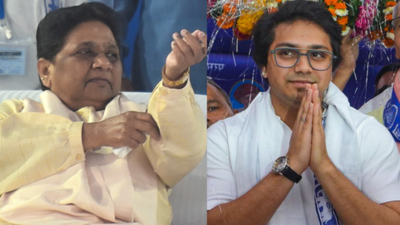 Mayawati removes nephew as heir 'till he gets maturity'