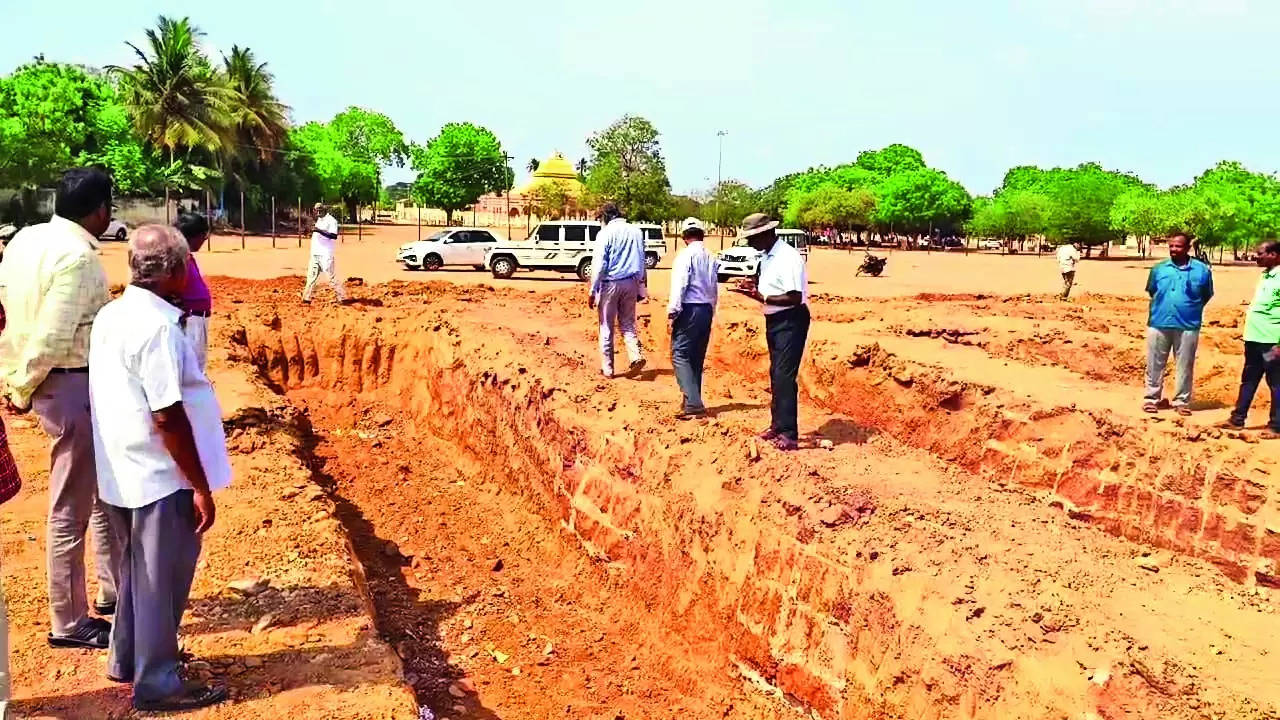 Archaeological Team: Archaeological team assesses site at Vadalur | Chennai News