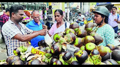 Bengaluru: When ice apple vendors make a killing