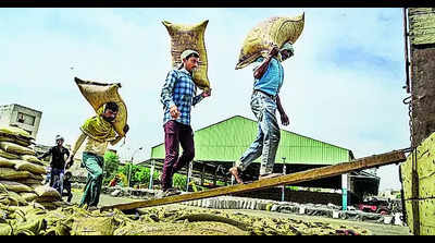 94% targeted wheat procured; Sangrur leads state in arrivals