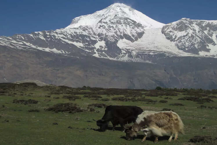 Dhaulagiri I, Nepal