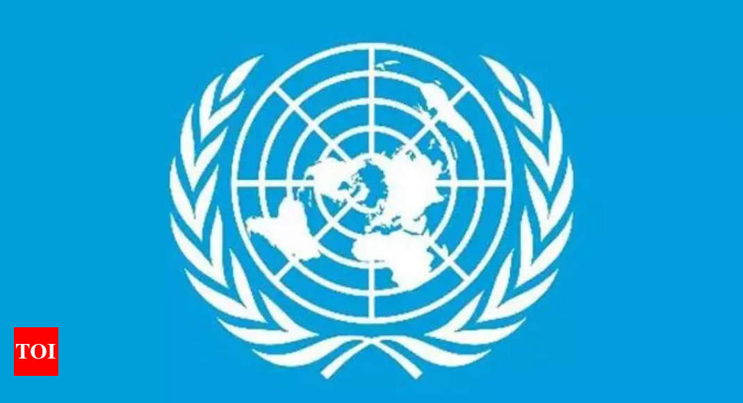 India received over $111 billion in remittances in 2022, first country to ever reach that figure: UN – Times of India