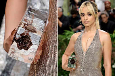 Coolest clutch, literally! Camila Cabello carried a block of ice to the Met Gala 2024