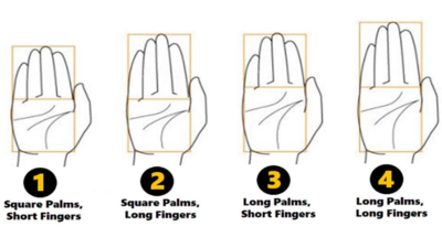 What does the shape and length of your palm and fingers reveal about your personality