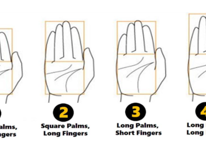 What does the shape and length of your palm and fingers reveal about your personality