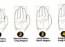 What does the shape and length of your palm reveal