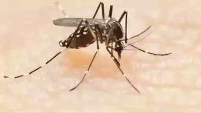 West Nile virus infected patient dies in Thrissur