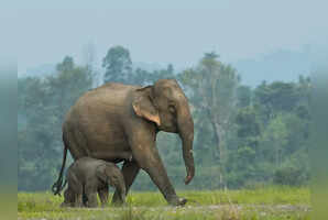 Wildlife photography: 7 offbeat destinations in India