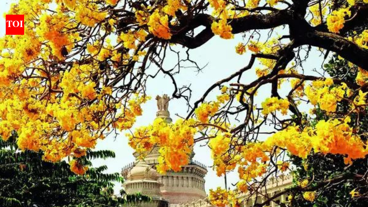 Silicon valley to millionaire valley: This Indian city is on 'most ...