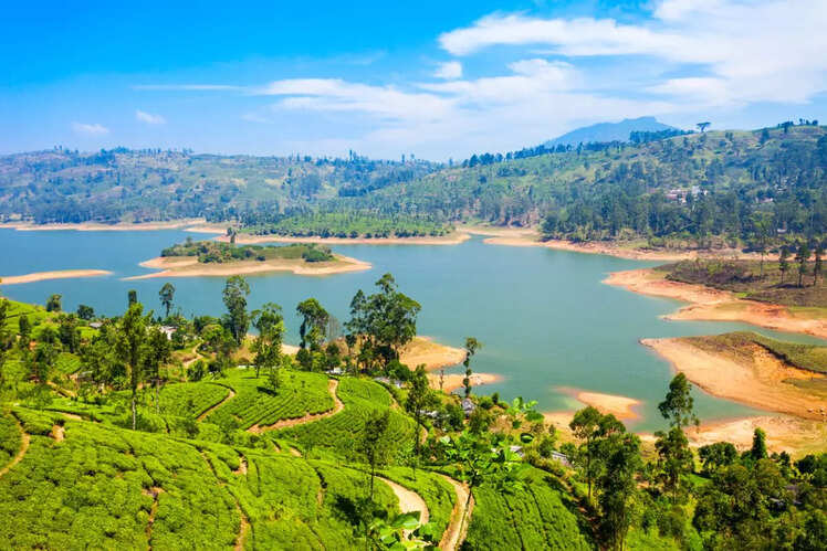 Nuwara Eliya