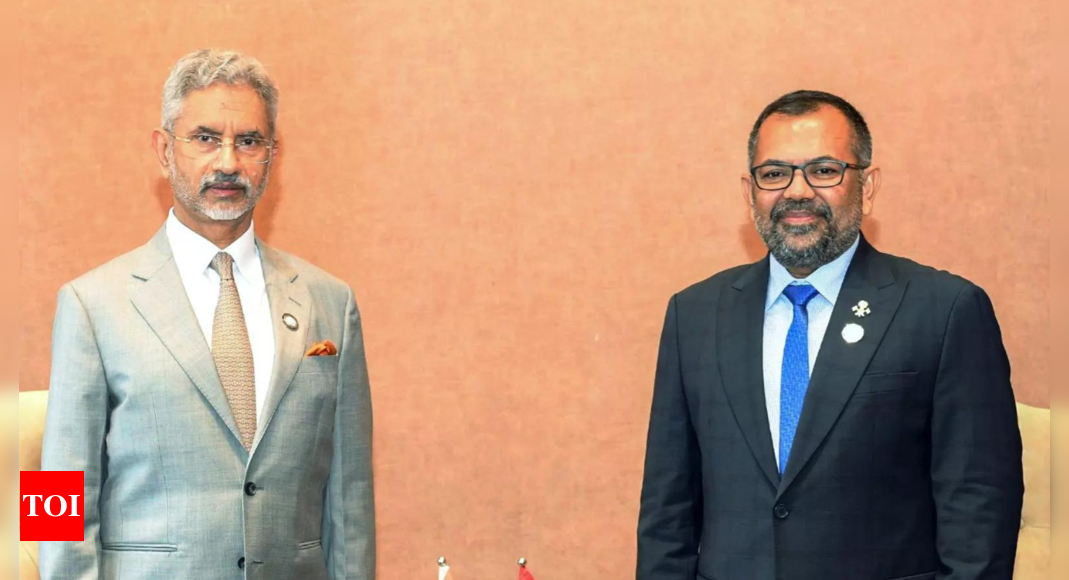 Maldives foreign minister Moosa Zameer aims to deepen ‘longstanding partnership’ with India | India News – Times of India
