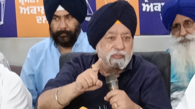 Those who promise to meet Sikh demands qualify for Sikh support: Sarna