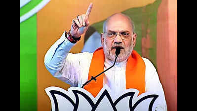 PM Modi uplifted 80cr Indians with free grain, welfare schemes: Shah