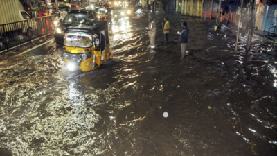 2-hour deluge claims 20 lives in Telangana, deals big blow to farmers