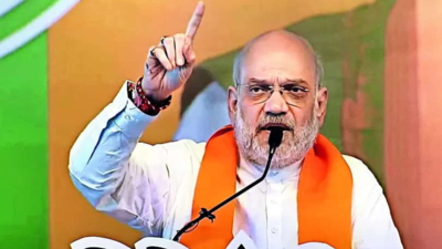 PM uplifted 80cr Indians with free grain, welfare plans: Amit Shah
