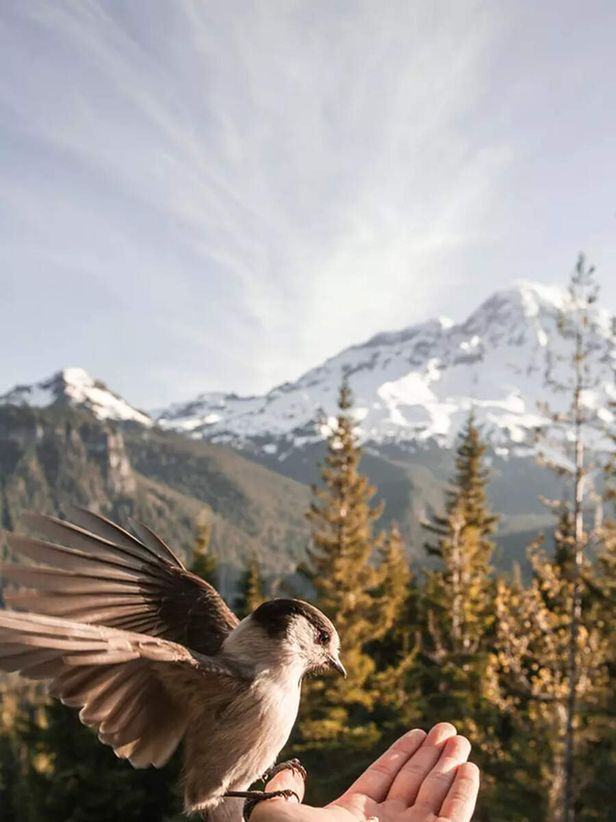 Practical ways to uncover your life's purpose