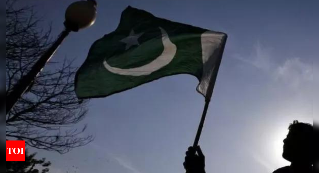 Pakistan rights body voices concern over increasing 'political polarisation'