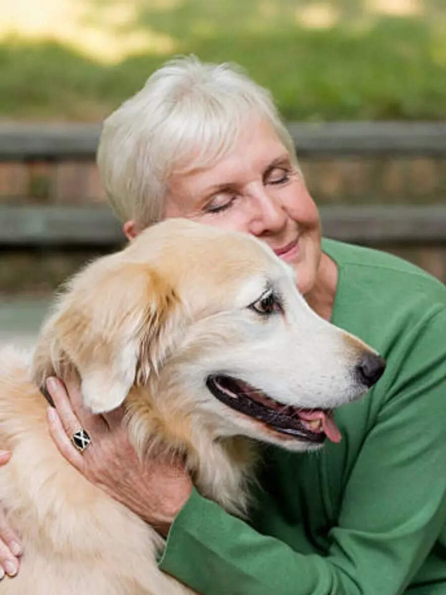 Dog Small Breed Senior (+8 Years)