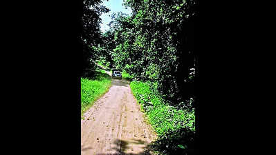Nagpur Forest Circle to focus on strengthening corridors