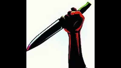 Knife-wielding criminal goes on rampage, held