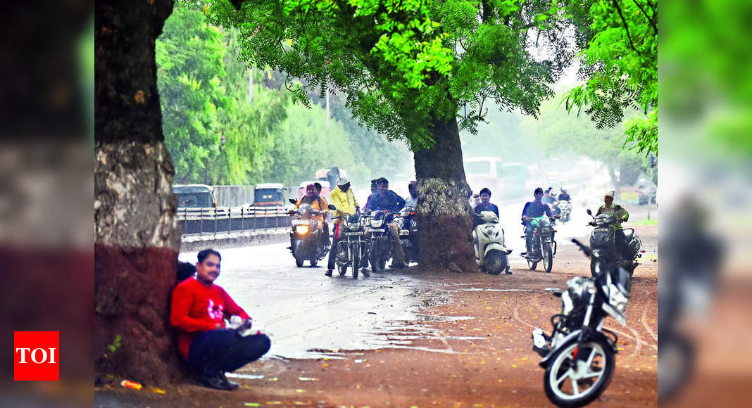 Unseasonal Rain Unseasonal Rain Brings Relief From Humidity And Heat In Sambhajinagar 1803