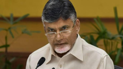 Agree to disagree on Muslim quota: TDP chief N Chandrababu Naidu