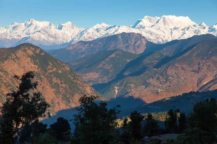 Chaukhamba