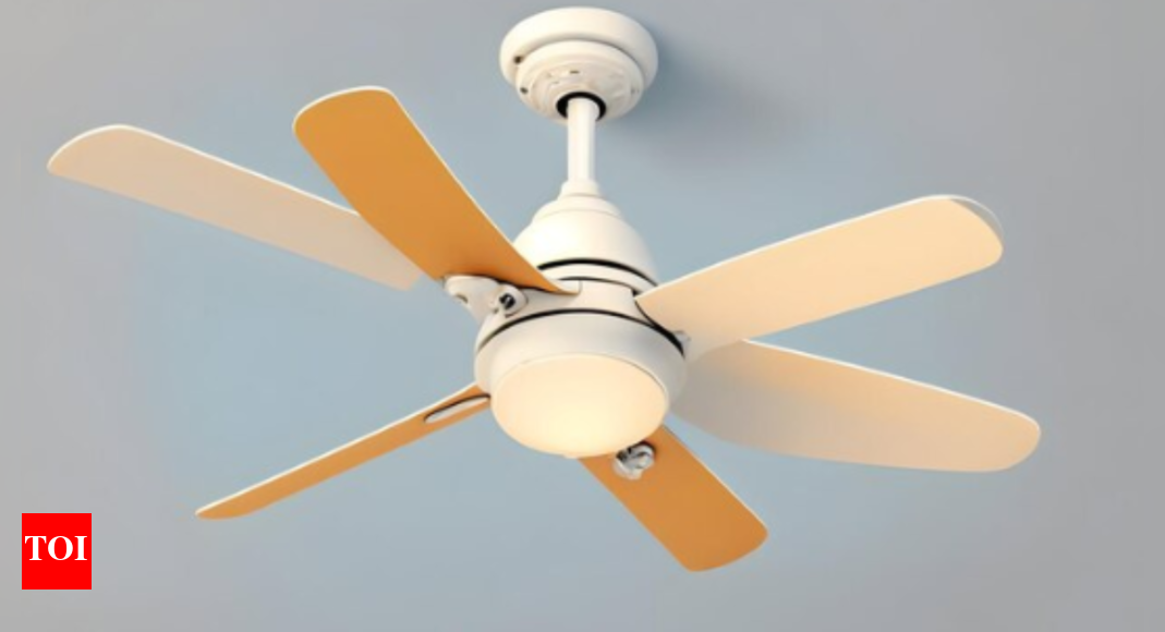 Best Ceiling Fan Under 1000 To Make Your Room Cool and Airy Times of