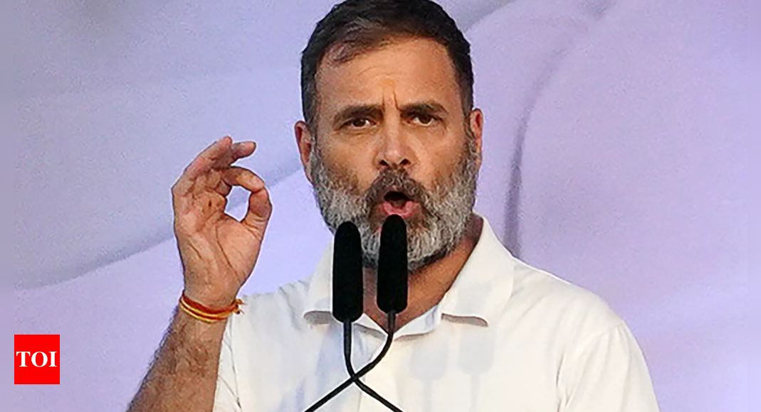 Modi is a king, has nothing to do with Constitution: Rahul Gandhi