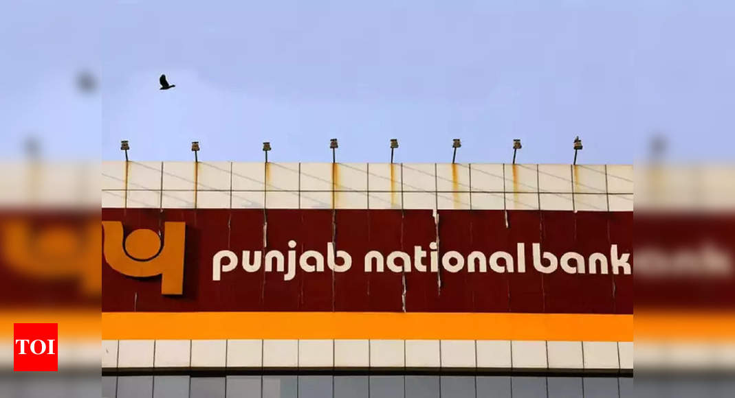 PNB’s data analytics to help recover loan – Times of India
