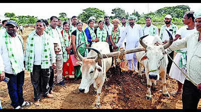 On Akshaya Tritiya, candidates plough land in bid to woo farmers ahead of polls