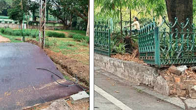 Bengaluru: Cubbon Park cries, no one’s listening