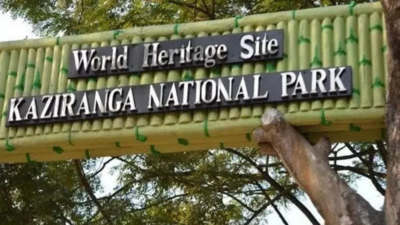Poaching bid in Kaziranga foiled, man shot dead