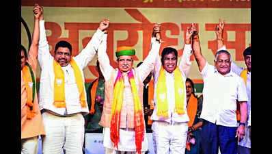 Elect Chandolia, choose PM for growth of nation: BJP ministers
