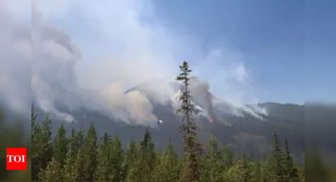 Wildfire in Canada’s British Columbia forces thousands to evacuate | India News – Times of India