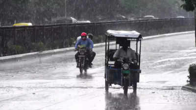 Rain brings respite to Rajasthan; thunderstorms likely to continue till May 14: IMD
