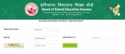 HBSE 10th Result 2024 (Direct Link): Check your scorecards here