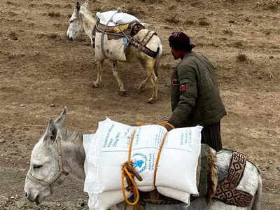 Flood-hit areas in Afghanistan 'inaccessible by trucks', donkeys come to rescue