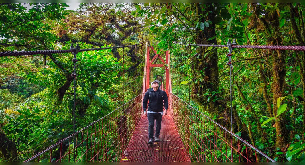 In pictures: World's most beautiful forests | Times of India Travel