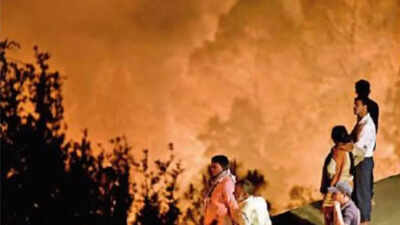 Forest fires in Uttarakhand threaten rare Himalayan fauna, say experts