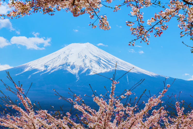 Japan&rsquo;s e-visa