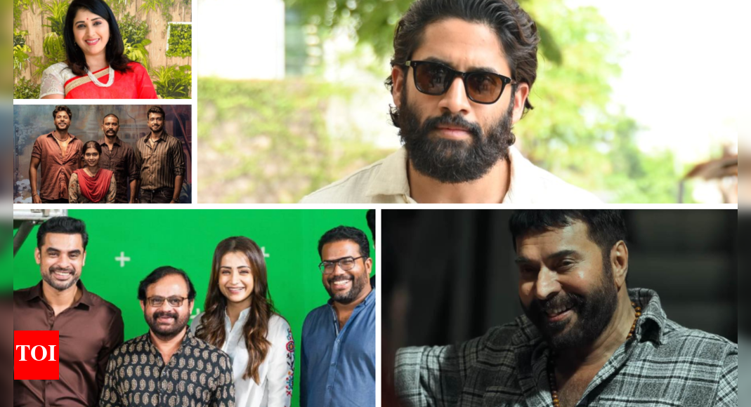 Top 5 regional entertainment news of the day: Top Tollywood stars casting their votes for Lok Sabha elections; Mamooty&rsquo;s &lsquo;Turbo&rsquo; trailer; Trisha wraps shooting for &lsquo;Identity&rsquo; | Tamil Movie News &ndash; Times of India