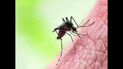 Housing bldgs, KTC in focus to tackle dengue