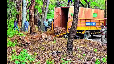 26 spotted deer from VOC Park Zoo released into wild
