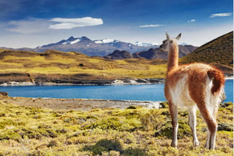 Torres del Paine National Park, Chile