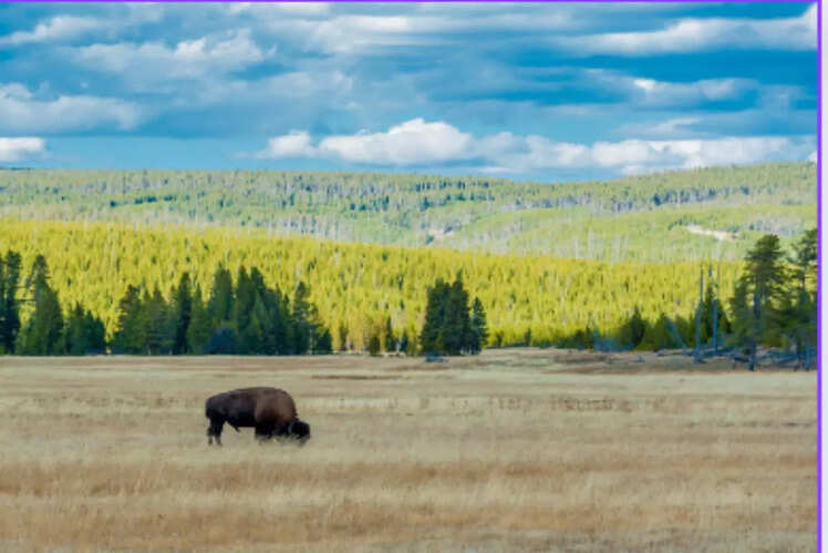 Yellowstone National Park, USA